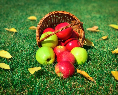 pomes en un cabàs a terra