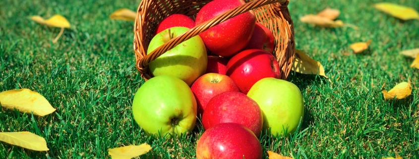 pomes en un cabàs a terra