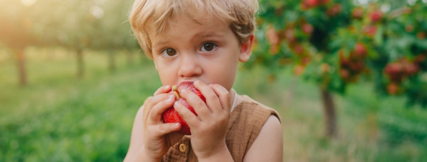pomes per a petits