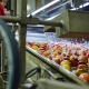 producció de pomes