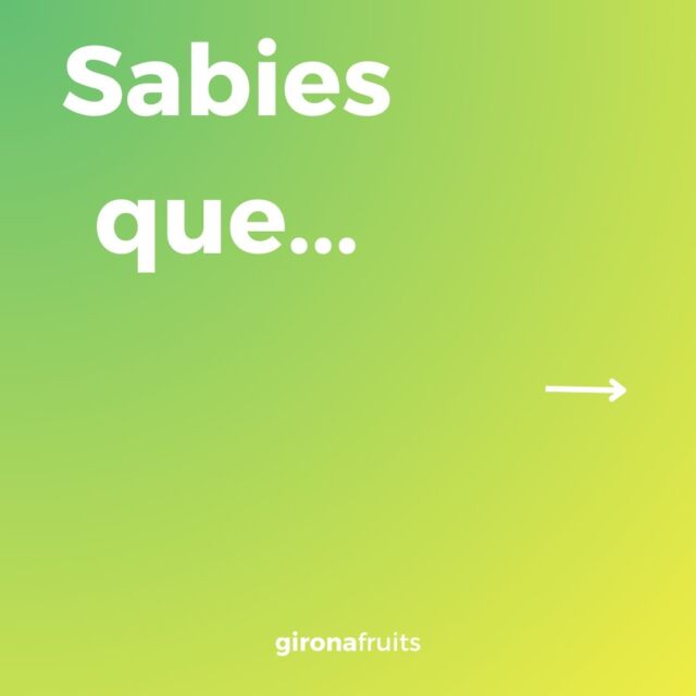Sabies que la fusta de la pomera és un material preciós? ⚒

És dura, densa i ideal per a crear mobles 🪑 resistents, eines de gran qualitat i instruments musicals amb un so únic
.
#fustadepomera #treballmanual #artesania #instrumentsmusicals #mobles gironafruits♻️